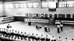 Aikido Dan Dereceleri Anlamı